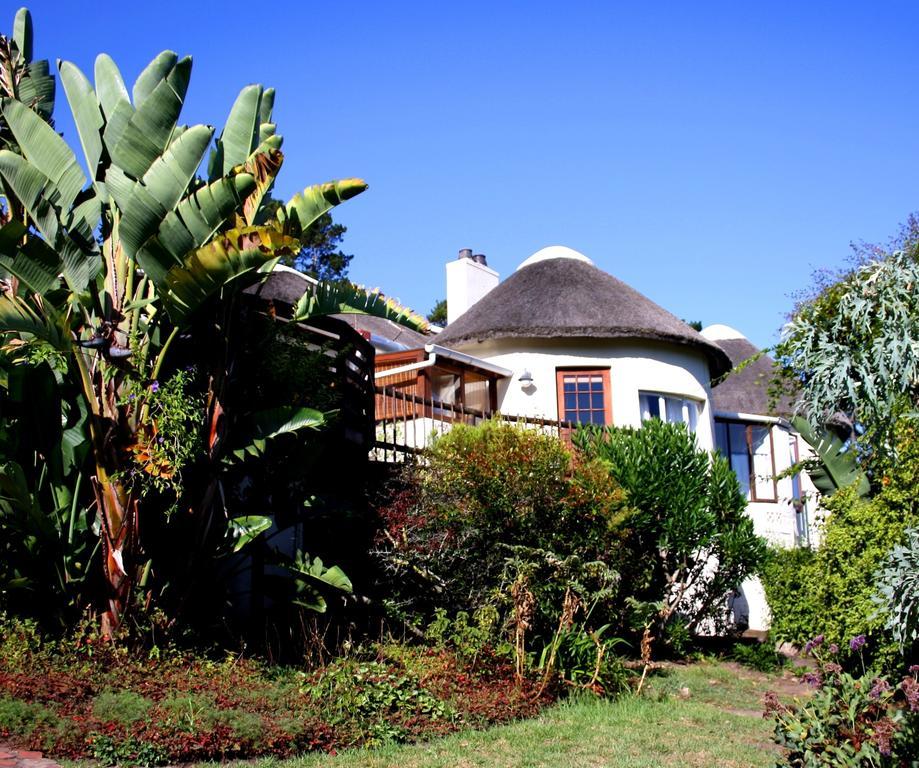 Badger'S Lodge Knysna Buitenkant foto